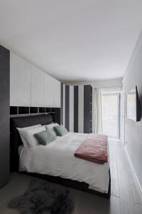 La Suite al Vaticano 2