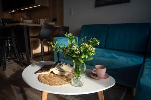 Trevilles Apartamenty Nice View