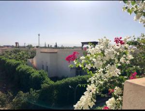 La Rose des Sables