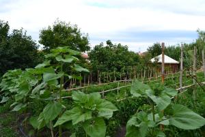 Su Cantaru Guesthouse img27