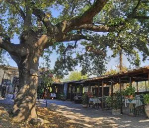 La Vecchia Quercia - Gavignano