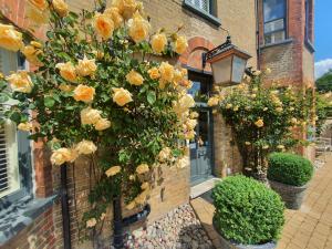 Belle Vue Guest House