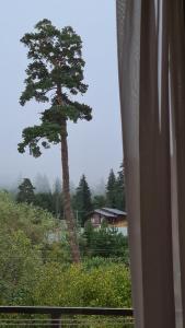 TRIDE Bakuriani - Apartment 60