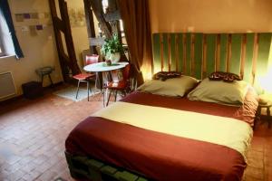 Appartements Cosy Apartment by the magical Marais de Bourges : photos des chambres