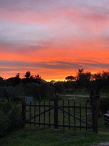 Agriturismo Is Conchisceddas img35