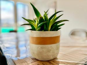 Appartements Colmar - La Cigogne - Balcon - Vue Degagee - Netflix - Wifi Fibre - Parking gratuit - Quartier populaire : photos des chambres