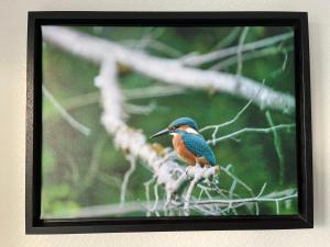 Appartements Colmar - La Cigogne - Balcon - Vue Degagee - Netflix - Wifi Fibre - Parking gratuit - Quartier populaire : photos des chambres