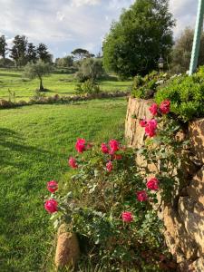 Agriturismo Is Conchisceddas img31