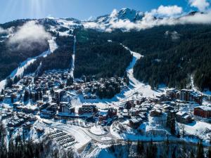 Appartement Ski aux Pieds à La Tania - 4 Pers, 31m², Balcon, 2 Pièces - FR-1-182A-1
