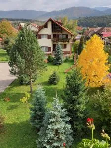 Vila Old Cars - 克里斯蒂安