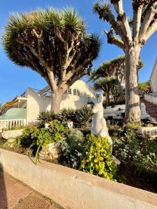 Apartamento Rest&Pool