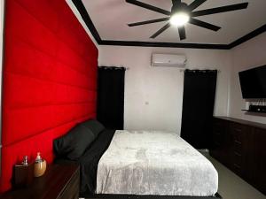 Luxury Living- Modern - Contemporary Home with Brand New Pool in Manor Park