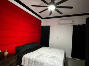 Luxury Living- Modern - Contemporary Home with Brand New Pool in Manor Park