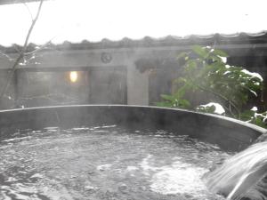 Hot spring bath