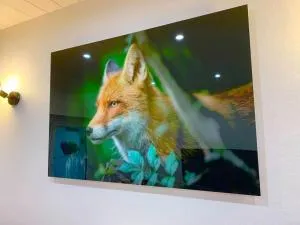 Le Terrier du Katz - Dabo