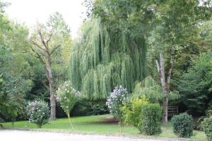 Hotels Le Clos De Mutigny : photos des chambres