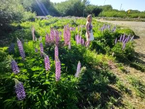 Cabañas LuCes del Pirque