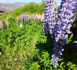 Cabañas LuCes del Pirque