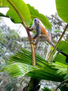 Sueños de Amor! Hermoso y Acogedor lugar