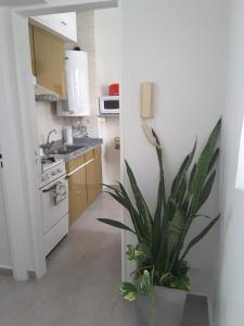 M&A Apartament Centro