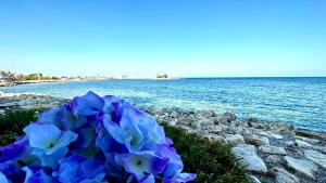 Casa Alba Serena By The Sea