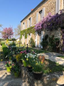 B&B / Chambres d'hotes La plaine de l'Angelus : photos des chambres