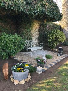 B&B / Chambres d'hotes La plaine de l'Angelus : photos des chambres