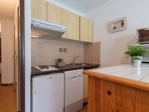 Appartement près télécabine, animaux admis, parking inclus pour 4 personnes à Vielle Aure - FR-1-296-206