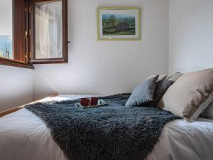 Appartement près télécabine, animaux admis, parking inclus pour 4 personnes à Vielle Aure - FR-1-296-206