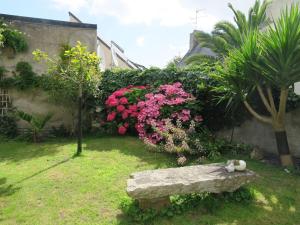 Maisons de vacances Maison Perros-Guirec, 4 pieces, 4 personnes - FR-1-368-254 : photos des chambres