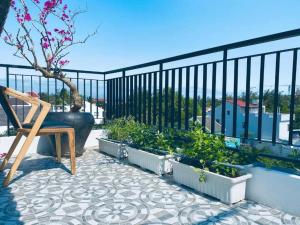 Luxury 8br villa in An Bang beach Hoi An