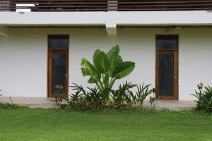 LaFinca Hostel Siargao