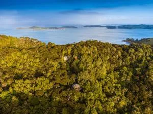 AWAY Treehouse & Forest SPA - Awaroa