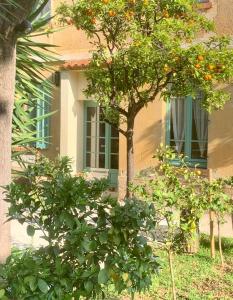 B&B / Chambres d'hotes La villa des Amandiers : photos des chambres