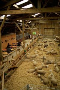 La Tiny House de la Bergerie