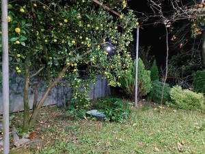 Lakeside Green Balcony Home