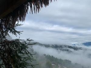 Riz dOr Ermitage - Hoang Su Phi