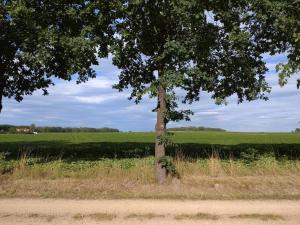 FeWo Wolfseiche