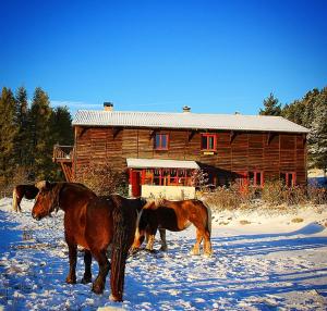 B&B / Chambres d'hotes Gite Ranch Le Serpolet : photos des chambres