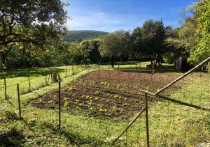 Maisons de vacances Le Clos des Coustoulins : photos des chambres