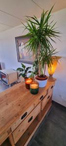 Cozy house at the lake