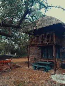 Carpe Diem - Hectorspruit