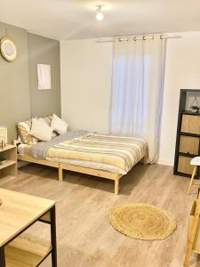 Appartements Studios charmants cosy a 5 minutes du centre-ville : photos des chambres