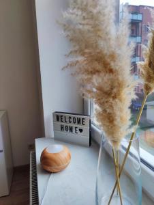 Neu sanierte Wohnung mit Balkon und Stellplatz