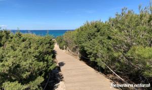 Apto Mar de Es Caló, a metros de la playa - Formentera Natural