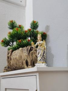 Il Cortile della Patrona