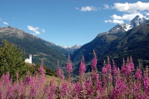 Appart'hotels Residence Le Tyrol : photos des chambres