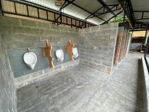 Esquipulas Rainforest