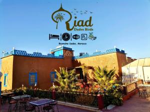 Riad Dades Birds