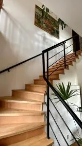 Borjomi Guest House - Qvibisi